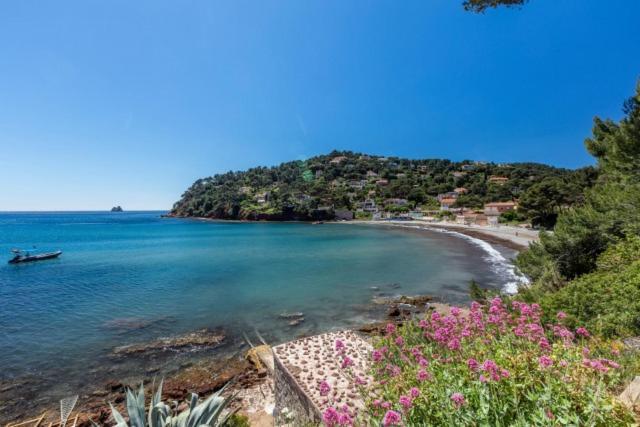 Appartement "Le Fabregas" 4 Pers Vue Mer La Seyne-sur-Mer Exterior foto
